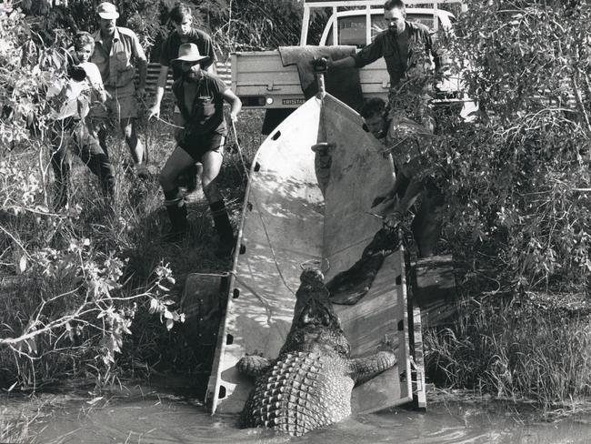 Conservation Commission Rangers and a television crew capture a crocodile in the Darwin Harbour.