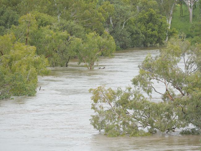 The Katherine River has risen to more than 12m but locals aren't concerned about flooding. PICTURE: Patrina Malone