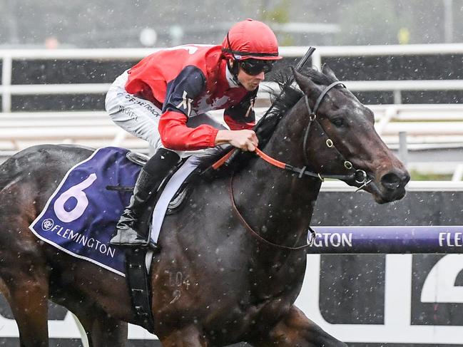 Doull ridden by Jye McNeil wins the Next Generation Sprinters Series Heat 1 at Flemington Racecourse on May 14, 2022 in Flemington, Australia. (Brett Holburt/Racing Photos via Getty Images)