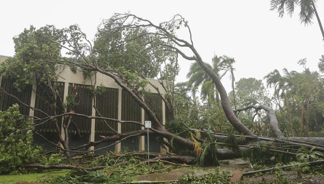 The aftermath of Tropical Cyclone Marcus after it hit Darwin's CBD.