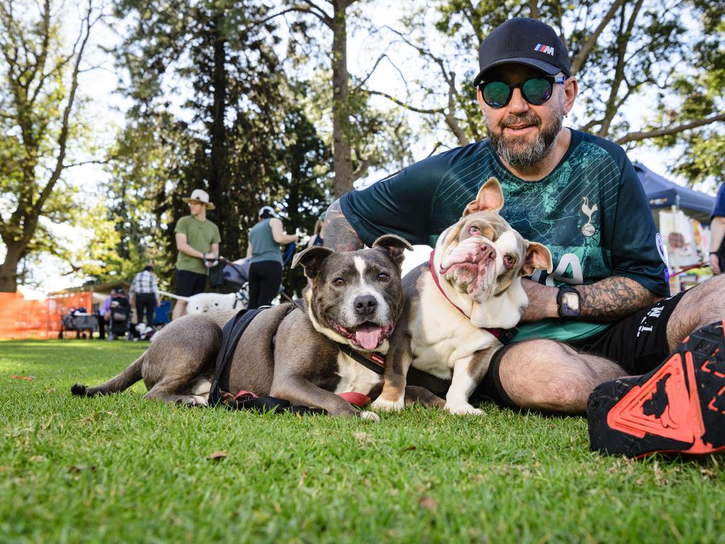 Kevin Cross with Gov (left) and Winnie at the Million Paws Walk in Queens Park, Sunday, May 25, 2025. Picture: Kevin Farmer