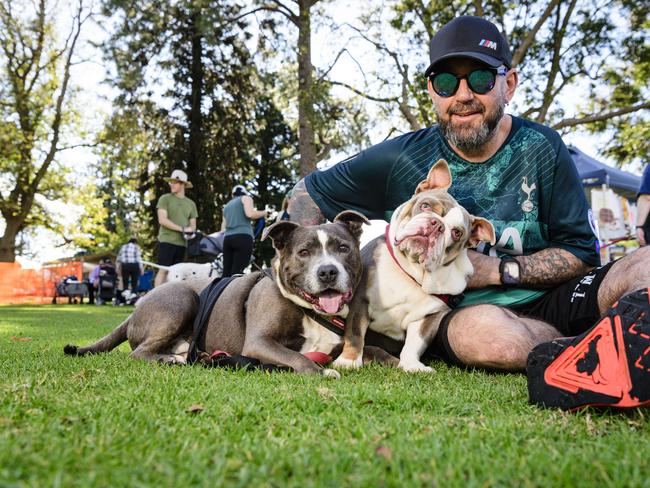 Kevin Cross with Gov (left) and Winnie at the Million Paws Walk in Queens Park, Sunday, May 25, 2025. Picture: Kevin Farmer