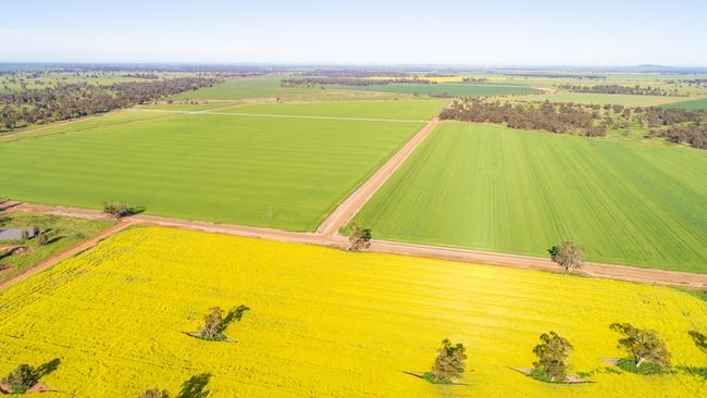 Sunshine Farms spans 14,074he near Forbes in central west NSW.