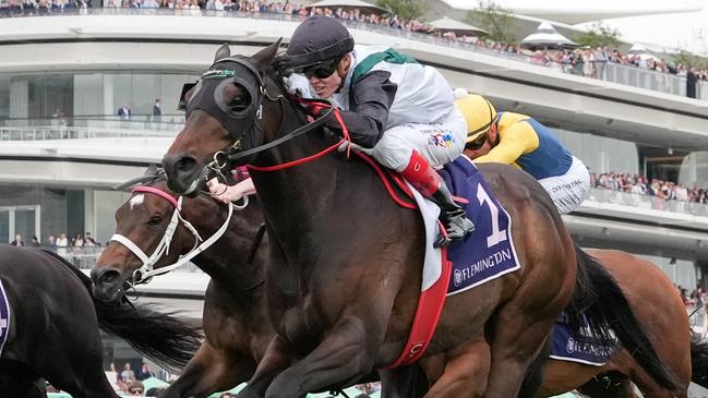 Mr Brightside (NZ) ridden by Craig Williams wins the VRC Champions Mile at Flemington Racecourse on November 09, 2024 in Flemington, Australia. (Photo by George Sal/Racing Photos via Getty Images)