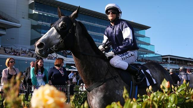 Nick Hall and Fawkner will represent owner Lloyd Williams in the Caulfield Cup. Picture: Colleen Petch.