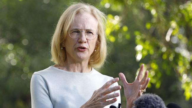 Queensland Chief Health Officer Dr Jeannette Young during a press conference in Brisbane on Good Friday. Picture: NCA NewsWire/Tertius Pickard