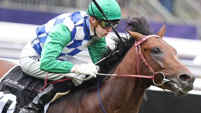 Fifty Stars, ridden by Ben Allen, proves too strong in the third race. Picture: Michael Klein