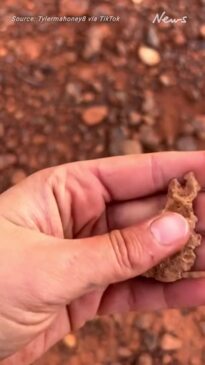 Aussie prospector's $2500 discovery lying on the ground in the Outback