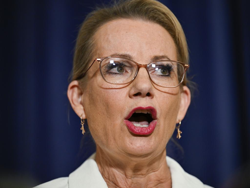 Liberal Party members and supporters have yet to grapple with the precariousness of the Coalition’s position. Picture: Martin Ollman