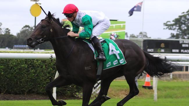 Diamil can make it back-to-back wins on Wednesday. Picture: Grant Guy