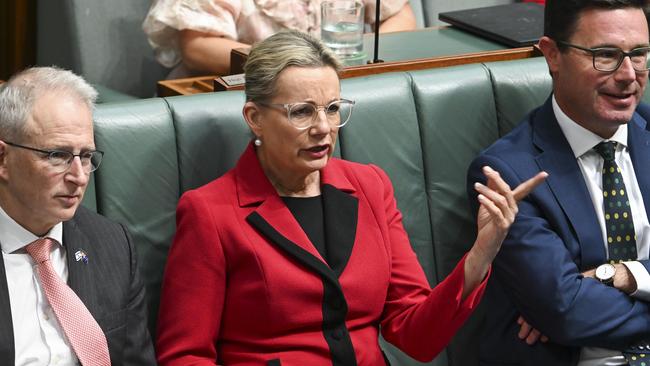 Sussan Ley said the release of detainees was ‘shameful’. Picture: NCA NewsWire / Martin Ollman