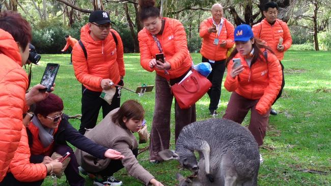 Meeting the local wildlife at Cleland.