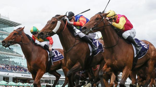 NCA. MELBOURNE. Oaks Day at Flemington Racecourse on November 07, 2024 in Melbourne, Australia.   Race 6. The Melbourne Cup Carnival Country Final.  Electric Impulse ridden by Ben Allen (red and orange hooped sleeves) fights to the line with Oh Too Good ridden by Damian Lane (gold sleeves) and Torranzino ridden by James McDonald in 3rd  .  Picture: Michael Klein