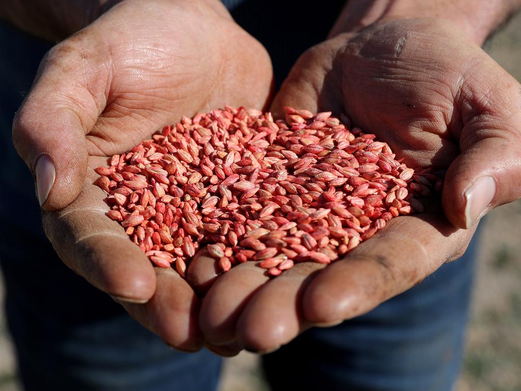 China imposed an 80 per cent tariff on barley imports from Australia earlier this year. Picture: Richard Wainwright/AAP