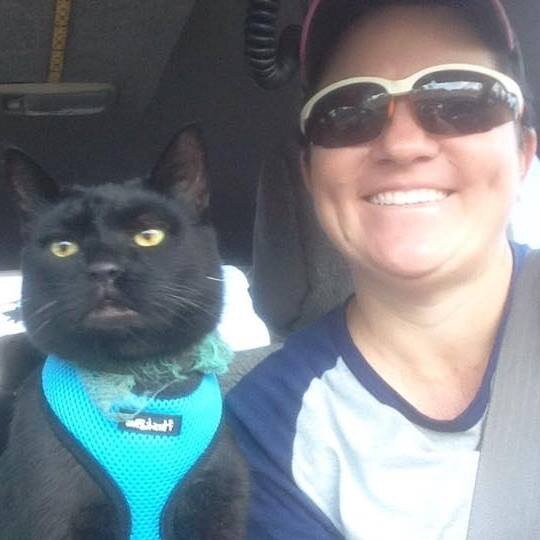 Little Man on a road trip from Kununurra to Darwin. My best bud ha had enough before we got to Timber Creek. Picture: Lydia O’Sullivan