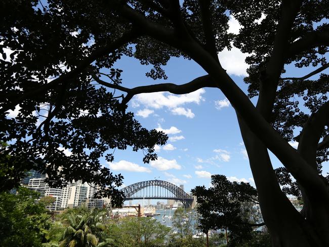 The garden boasts Instagrammable views of Sydney Harbour. Photo: Bob Barker.