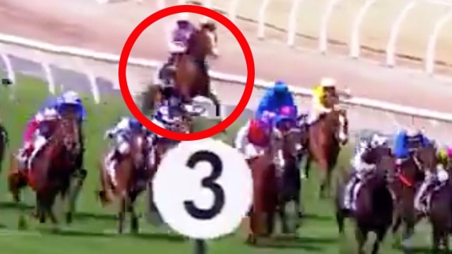 Anthony Van Dyck tragically breaks down in the Melbourne Cup.