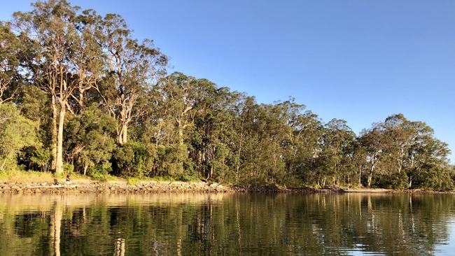 Water views await around every corner on the Tallebudgera Creek Walking Track Photo: Chantay Logan