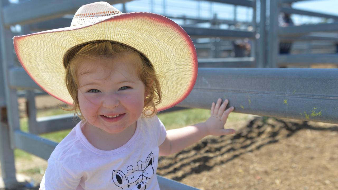 Rubie Groenewold, 25 months, at the pens of the Sarina cattle sale. Photo: Zizi Averill