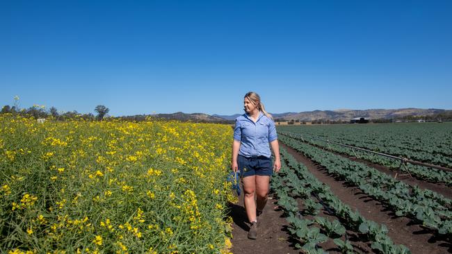 Lockyer Valley farmers are still struggling to find harvest workers, including Blenheim farmer Raneece Lerch. PHOTO: Ali Kuchel