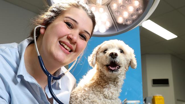 Victorians could soon receive free vet care under a world-first proposal.