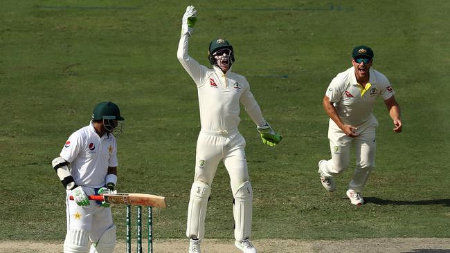 Tim Paine celebrates after taking a catch to dismiss Imam-ul-Haq. Picture: Getty Images.