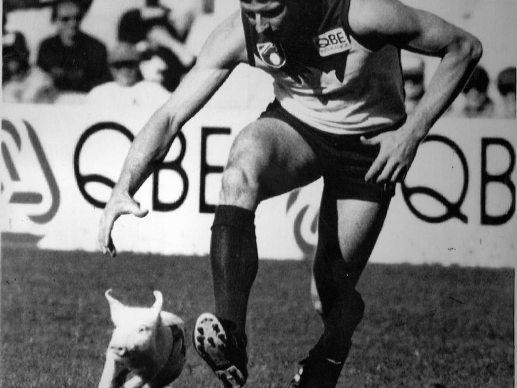 Players could not keep up with the pig. Picture: Steve Cooper