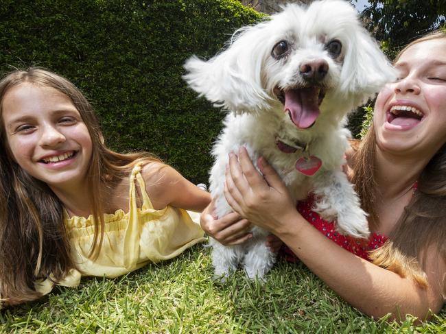 Sisters Claudia 13, and Mia Brown 14, with Buffy the Maltese Terrier. Photo Lachie Millard