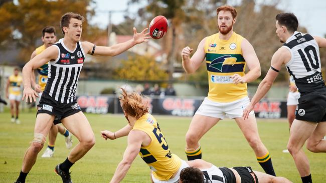 Jack Trengove intercepts Angus Poole's handball at Alberton Oval during another prolific display. Picture: MATT LOXTON