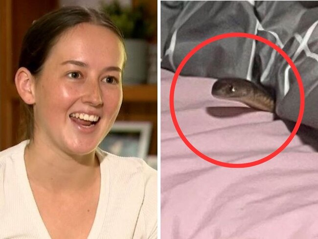 Ms Leadbetter rolled onto the snake as she slept. Photo: 9 News