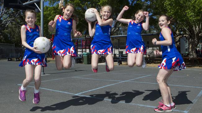 Port Melbourne Netball Club is one club that will benefit from the new court. Picture: Richard Serong