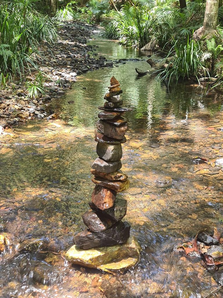 Off Bruxner Park Rd, Bucca. Snapped by Jenah Lee.