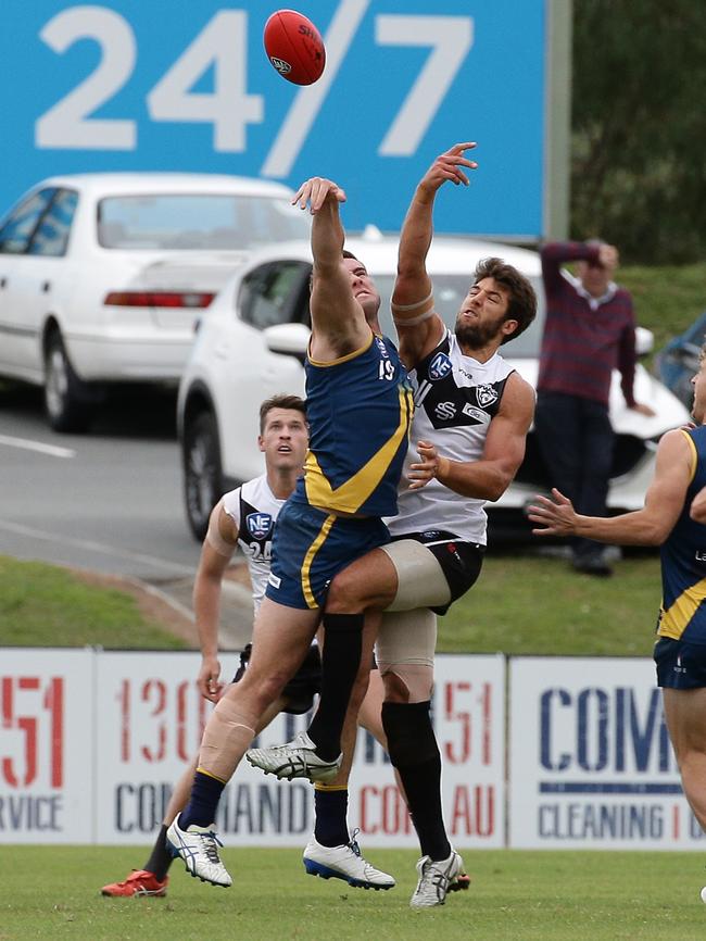 Alex Aurrichio of the Sharks in action. Picture: Tertius Pickard