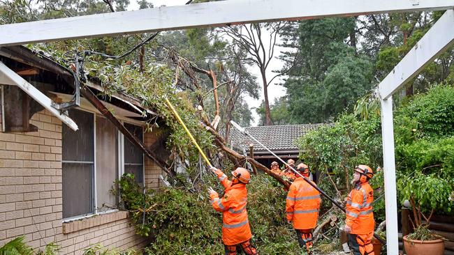 Hornsby SES volunteers work to remove a large gum tree at Dartford Rd at Thornleigh. Picture: Troy Snook