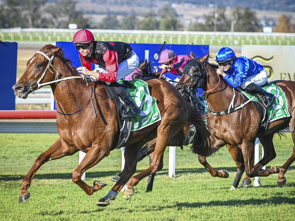 South Australia Racing | Horse Racing News, Guides & Results | news.com ...