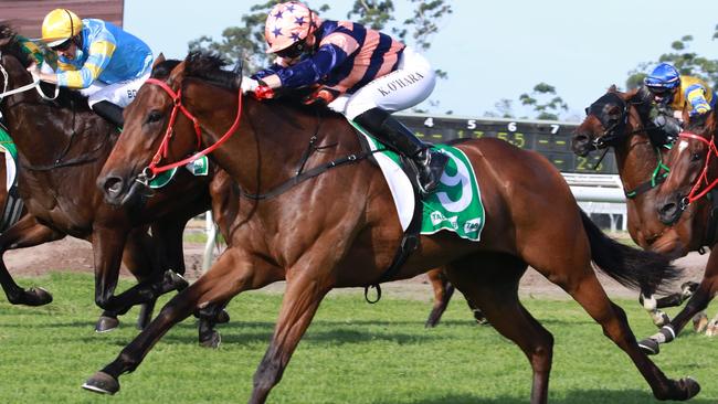 Brutality can give jockey Regan Bayliss a third Randwick mile feature win on Saturday. Picture: Grant Guy