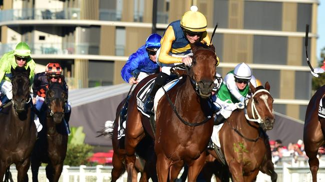 Stefi Magnetica was an emotional winner of the Stradbroke Handicap. Picture: Grant Peters/Trackside Photography