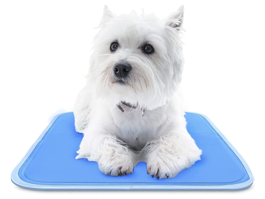 The Green Pet Shop Dog Cooling Mat. Picture: Amazon Australia.