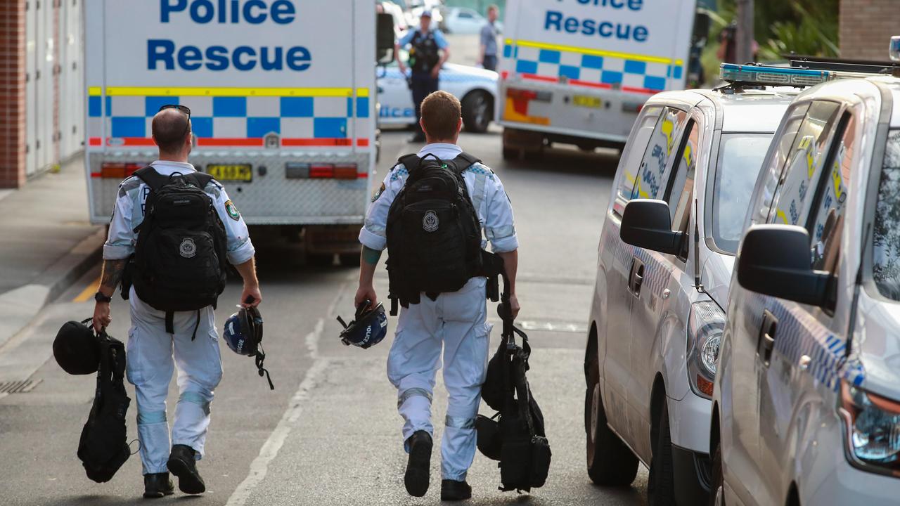 A police operation to recover three escaped baboons in Camperdown, NSW. Picture: Justin Lloyd