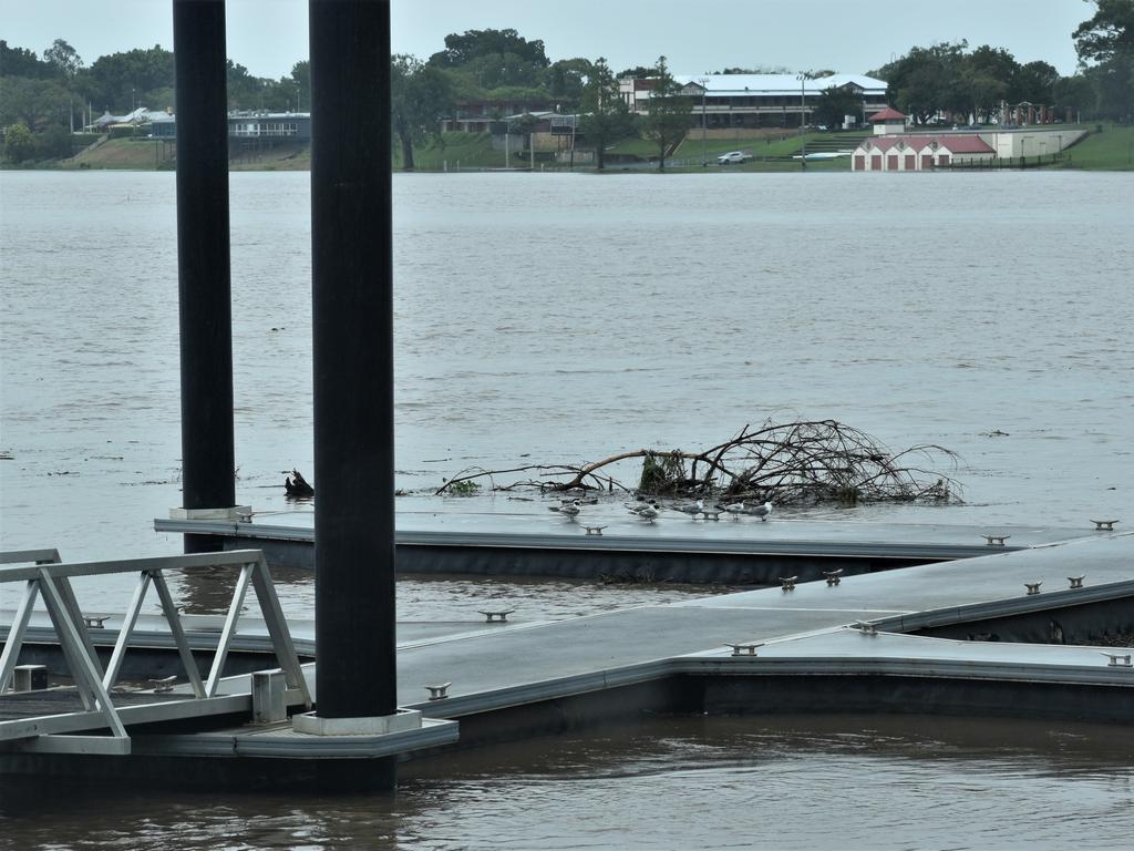 The Clarence River exceeded the 2.1m minor flood level at Grafton in the early afternoon on Wednesday, 16th December, 2020. Photo Bill North / The Daily Examiner