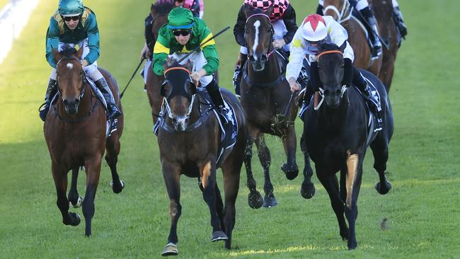 Ole Kirk under Tommy Berry wins the Golden Rose at Rosehill Gardens. Photo: Mark Evans/Getty Images