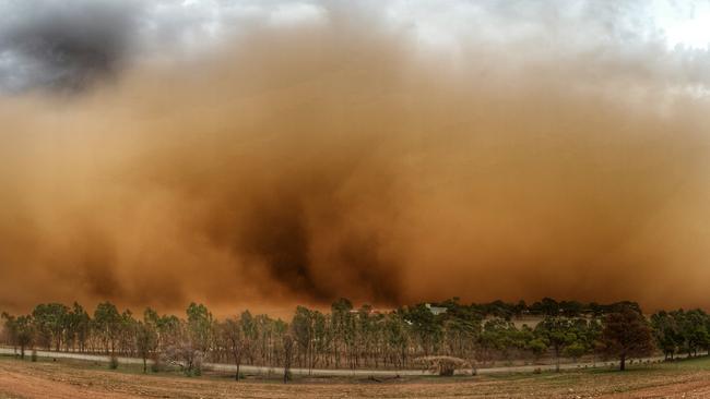 The dust storm at 4pm on Thursday at Nain, east of Freeling. Picture: Charmaine Holland