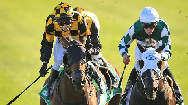 Epsom winner Probabeel has a few admirers in the Cox Plate. Picture: Getty Images