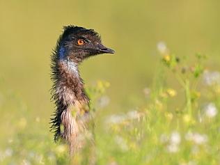 Winners of a double pass to the Australian Geographic Nature Photographer of the Year Exhibition 