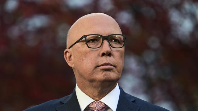 Opposition Leader Peter Dutton has opposed the Voice. Picture: NCA NewsWire/ Martin Ollman