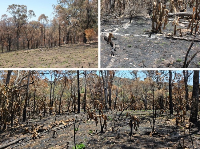 Bushfire recovery: Groups rally around southwest region devastated by fire