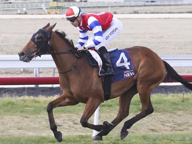 Gobbled just needs a bit f luck early from his wide gate at Lismore. Picture: Bradley Photos