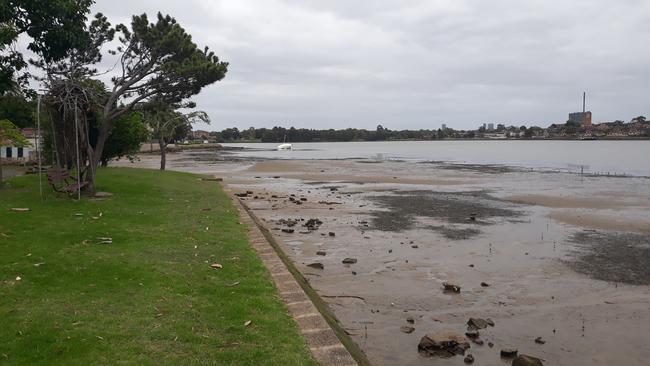 Looking east to west, from Halliday Park to Friend Ave, at the patch of the foreshore where a boardwalk could be placed. Picture: Supplied