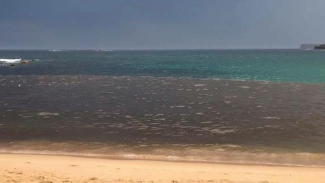 The surf at Coogee becomes polluted very quickly during rain.