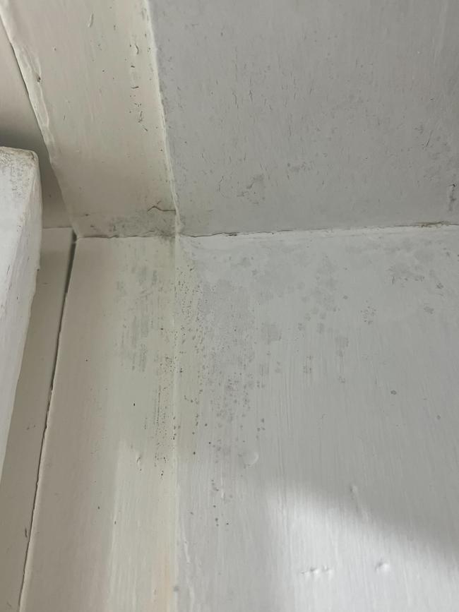 Mould breaks through on a door frame at Sarah Hutt’s Sydney rental.